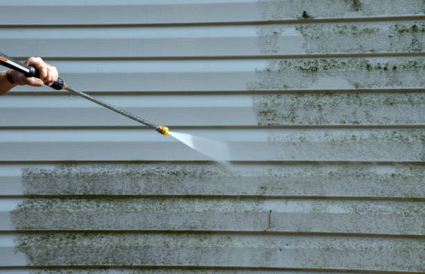 Best Sidewalk and Walkway Cleaning  in Fairview, UT